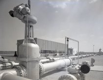 Negative, Sheet Film