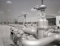 Negative, Sheet Film