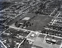 Negative, Sheet Film