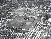 Negative, Sheet Film