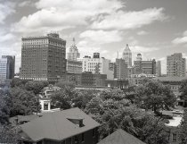 Negative, Sheet Film