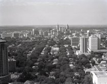 Negative, Sheet Film