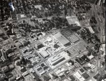 Negative, Sheet Film