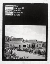 Negative, Sheet Film