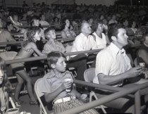 Negative, Sheet Film