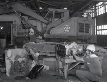 Negative, Sheet Film