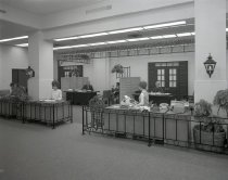 Negative, Sheet Film