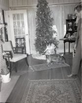 Negative, Sheet Film