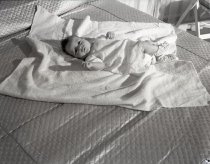 Negative, Sheet Film