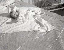 Negative, Sheet Film