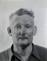 Negative, Sheet Film