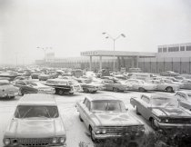 Negative, Sheet Film