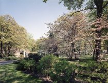 Negative, Sheet Film