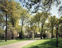 Negative, Sheet Film