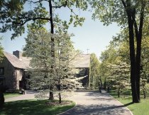 Negative, Sheet Film