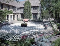 Negative, Sheet Film