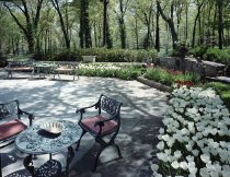 Negative, Sheet Film