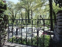 Negative, Sheet Film