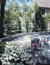 Negative, Sheet Film