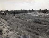 Negative, Sheet Film