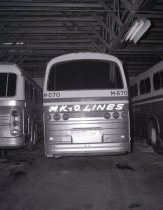 Negative, Sheet Film