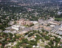 Negative, Sheet Film