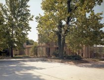 Negative, Sheet Film