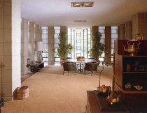 Negative, Sheet Film