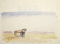Untitled (Two Horses in Landscape)