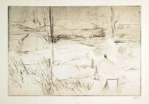 Untitled (3rd Stage, Desert Landscape)