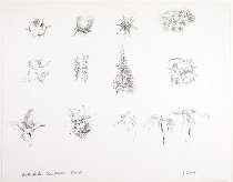 Bonita Lake, New Mexico