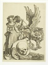 Coat of Arms with Skull