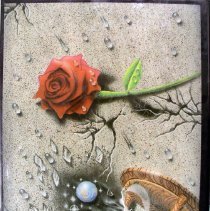 Shield: 1994, These Are The Days