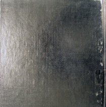 Golden Year, 1980, The Golden Years Eighty Prevue