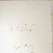 Golden Year, 1988, Spilling Over Into 88'