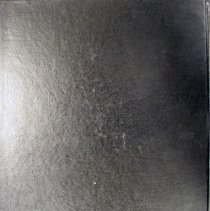 Golden Year, 1991, Coming of Age