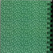 St. Gerald Church Cookbook