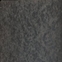 About Oak Lawn Volume 1