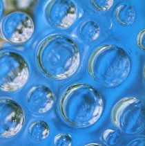 St. Gerald Yearbook, 2001