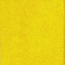 Covington School Yearbook, 1980