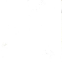 St. Catherine of Alexandria Yearbook, 1995