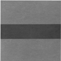 Simmons School Yearbook, 1994, Accolade, Plus A Whole Lot More