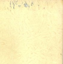 Blue Island Community High School Yearbook: Chips, 1948