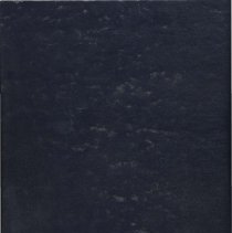 Lake Shore Athletic Association Scrapbook, 1972 - 1973