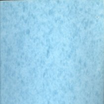 Lake Shore Athletic Association Yearbook, 1970 - 1995