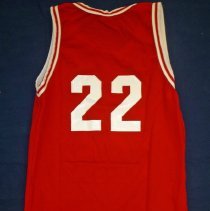 Lake Shore Athletic Association All-Stars Basketball Jersey