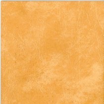 5th Annual Oak Lawn Round-Up Program