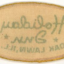 Oak Lawn Holiday Inn Patch