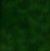 American Association of University Women Scrapbook