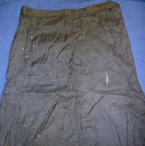 Late 19th Century Woman's Dress Skirt